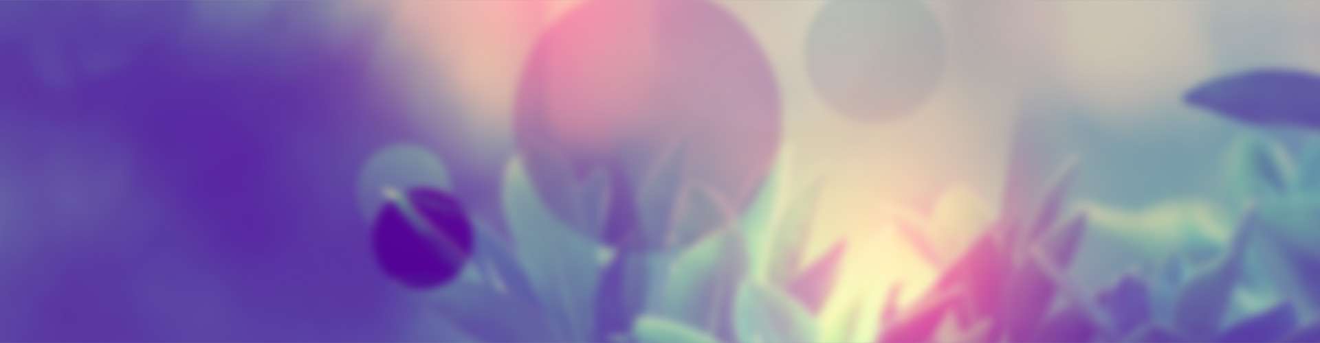 slidebg1